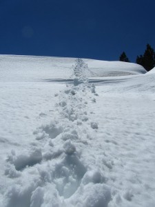 Solitude of a single pair of footprints